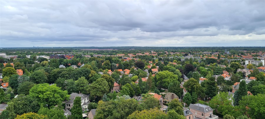 Bericht Resultaten vragenlijst Bomen in Hilversum bekijken